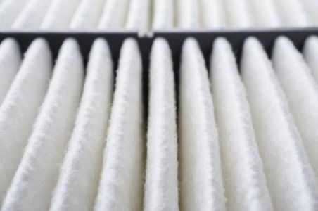 How air purification and uv technology help with allergies in north georgia homes